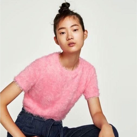 Zara Tops - Zara Pink Fuzzy Cropped Short-Sleeve Top